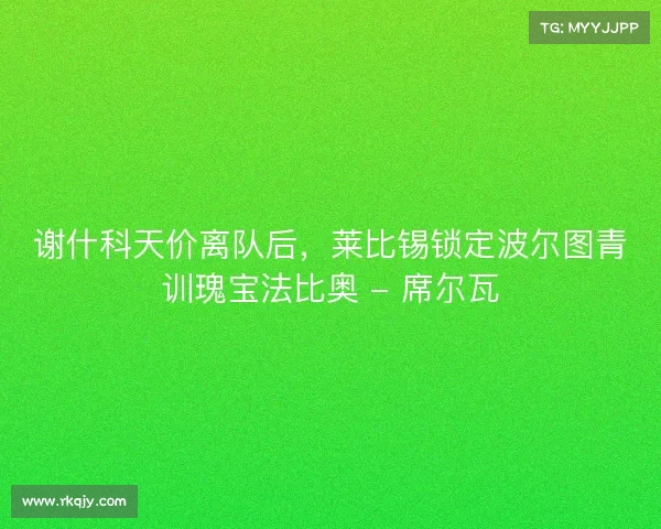谢什科天价离队后,莱比锡锁定波尔图青训瑰宝法比奥 - 席尔瓦 谢什科天价离队后,莱比锡锁定波尔图青训瑰宝法比奥 - 席尔瓦